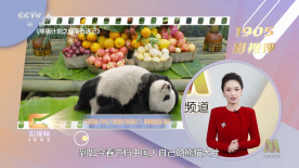 日韩在线手机看片免费看